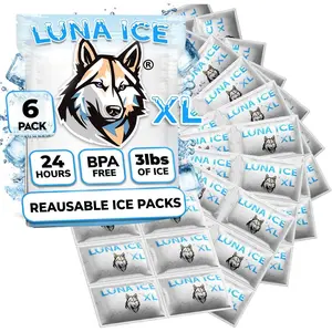 XL Dry Ice Packs for Shipping Long Lasting 24+ Hour Freeze Power BPA Free 6 Pack Bulk 3 lb Reusable Gel Bricks for Food