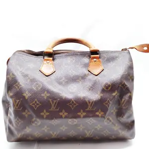 Pre-owned Louis Vuitton canvas Shoulder Bags $1550 1990 Monogram Speedy 30 VI1900