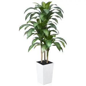 VeriNatural 5/6FT Artificial Dracaena Tree UV Resistant with Black Taper Planter for Indoor & Outdoor  (VN127-L)