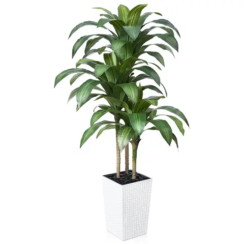 VeriNatural 5/6FT Artificial Dracaena Tree UV Resistant with Black Taper Planter for Indoor & Outdoor  (VN127-L)