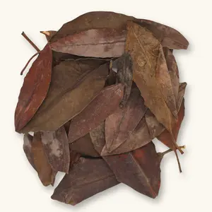 Natural Red Mangrove Leaves (25c) by Betta Botanicals for Brackish Water Aquariums