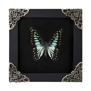 Blue Pattern Butterfly Frame, Mounted, Handmade Insect Display, Dark Academia Curio Cabinet Aesthetic, Nature Art, Unique Gift, Interior Wall Decoration