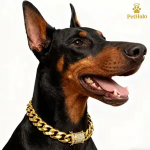 Dog Cuban Chain Collar 18K Gold Plated with Iced Out Dragon Head Clasp – Heavy Duty Stainless Steel Dog Necklace, Luxury Pet Jewelry & Accessories 16/18/20/22/24/26inch pet necklace