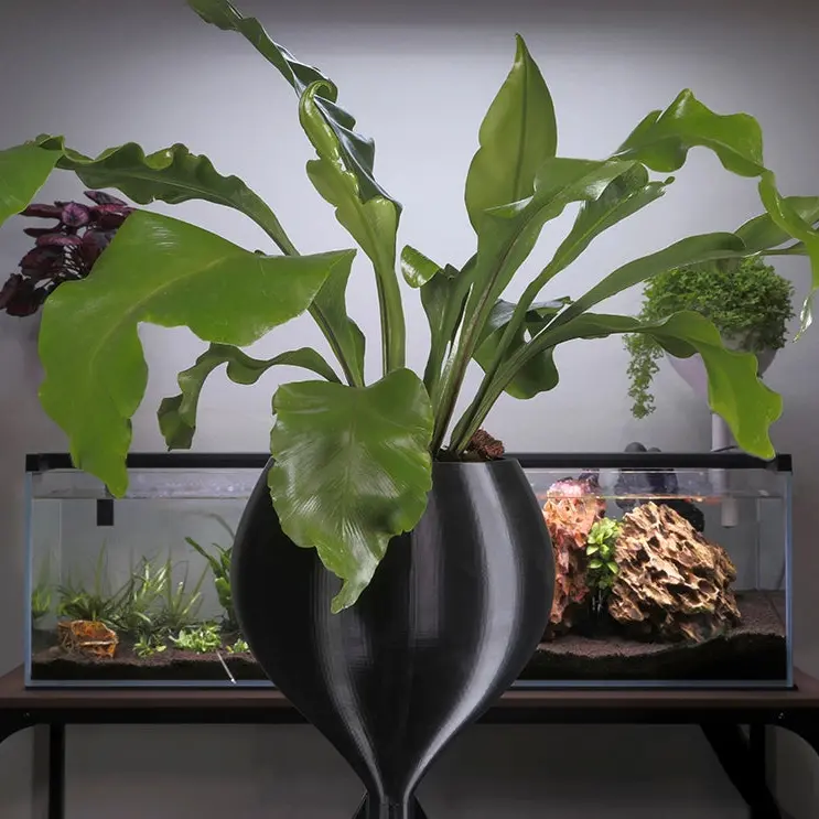 Large Aquarium Wicking Pot – Self Watering Planter | Mossari