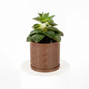 Mini Aztec Planter - Perfect for Small Indoor Plants
