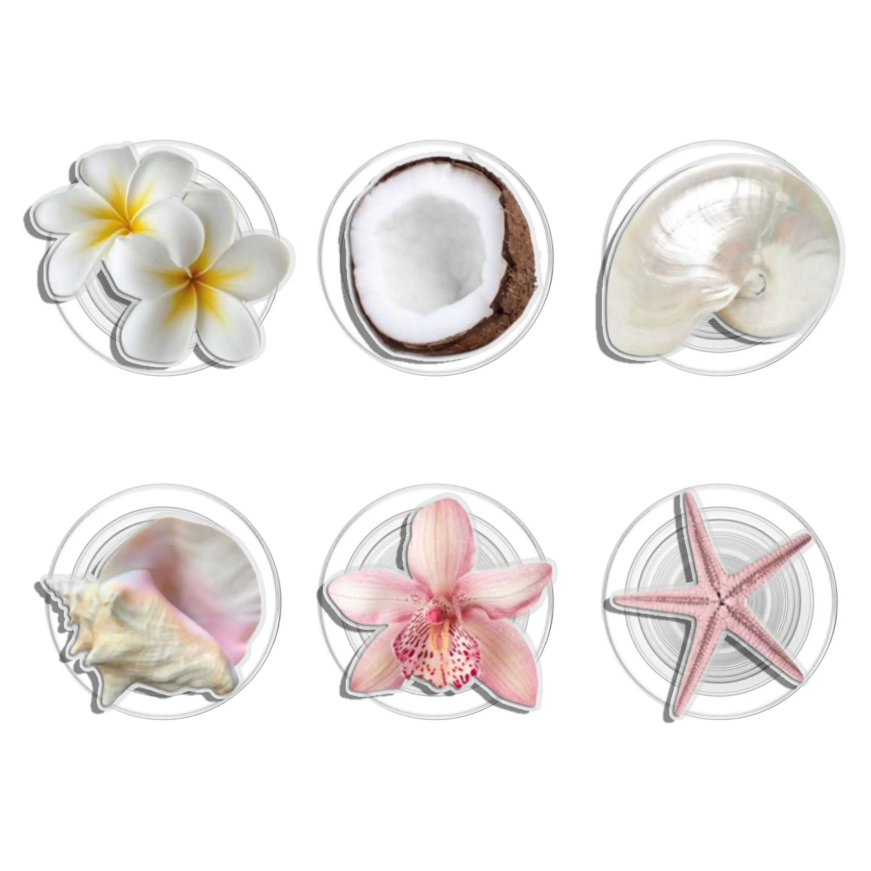 Clean Girl Vibe Seashell Starfish And Flower Coconut Girlie Pearl Preppy Summer Magsafe Phone Grip Magnetic e-Reader Grips Kindle Grip Magnetic Kindle Grip Book Lover Kindle Accessories Phone Holder PopSocket Phone Grip Magnetic Pop Socket Phone Grip
