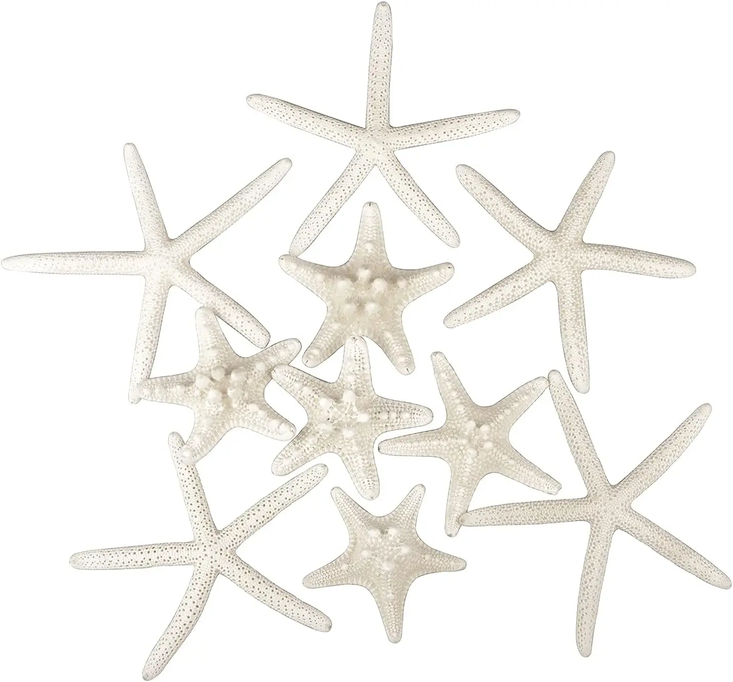 12 PCS Starfish 2-6 Inch Mixed Starfish Natural Seashells Starfish Star Fish Shells Decorations Perfect for Wedding Decor Beach Theme Party, Home Decorations, DIY Crafts, Fish Tank