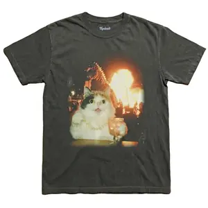 Funny Animal Vintage Graphic Tee, Cats and Explosions T-Shirt V2, Animal Shirt, Unisex Meme Cringe Funny Shirt, Menswear Womenswear Streetwear Cotton Comfort