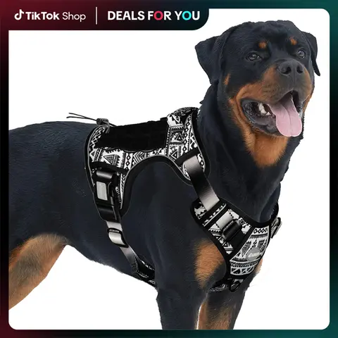AUROTH Tactical Adjustable Safety Harness Vest for Small-Large Pets - Durable, Reflective, Easy-Adjustment No-Pull Design, Front/Back Clip, Metal Ring Strength, Molle Pouch Ready, Hunting Use - Pet Supplies, Collars & Harnesses & Leads