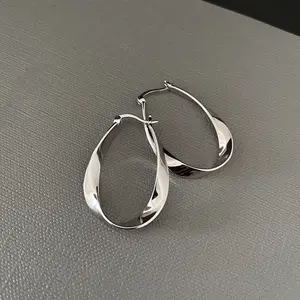 Fashionable Mobius ring earrings niche high-end geometric metal glossy plain hoop earrings jewelry