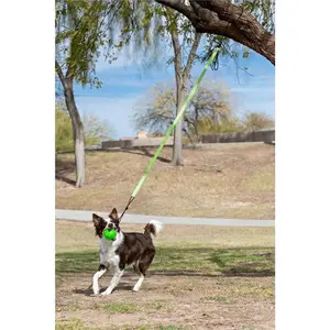 212 MAIN Jolly Pets Tree Tugger Bungee Dog Toy - Large, Green, Outdoor, Interactive, Stress Relief, Adjustable Height, Ballistic Nylon Pet Supply