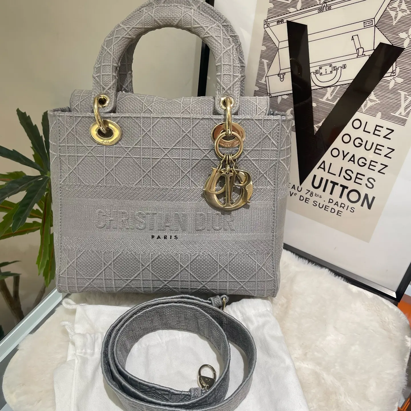 Pre-owned Dior Lady D Lite medium handbag in grey Cannage embroidered canvas