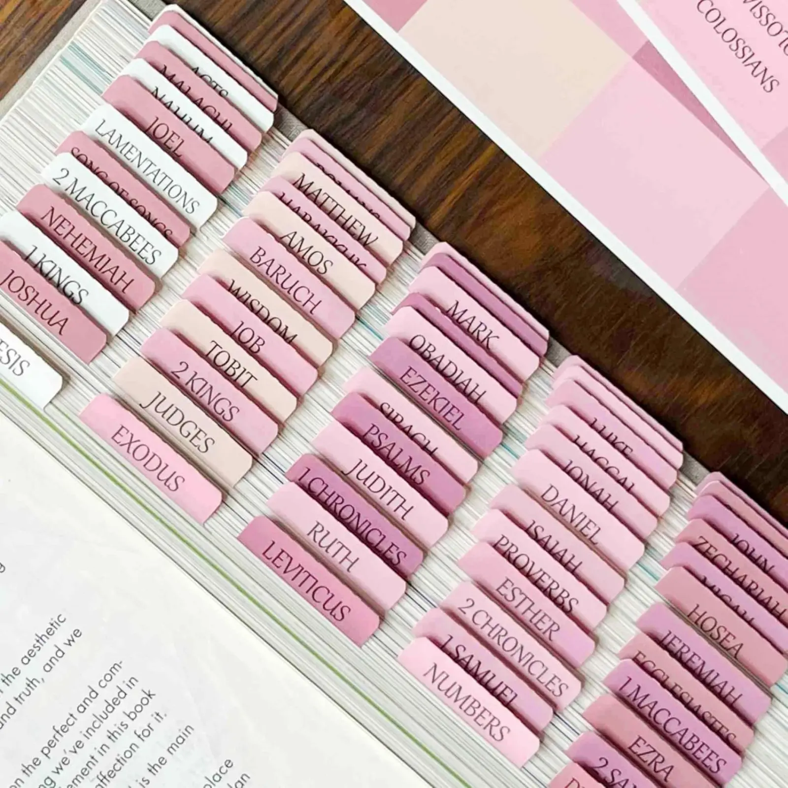 Catholic Bible Tabs, Reposition Laminated Stickers, Easy to Read and Apply Bible Tabs for Women and Man