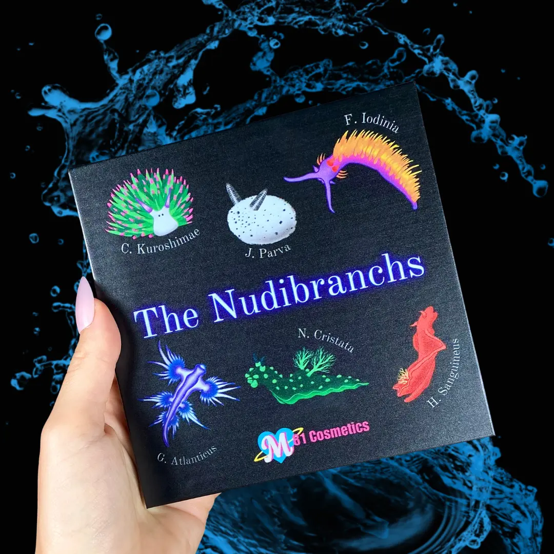 The Nudibranchs Palette
