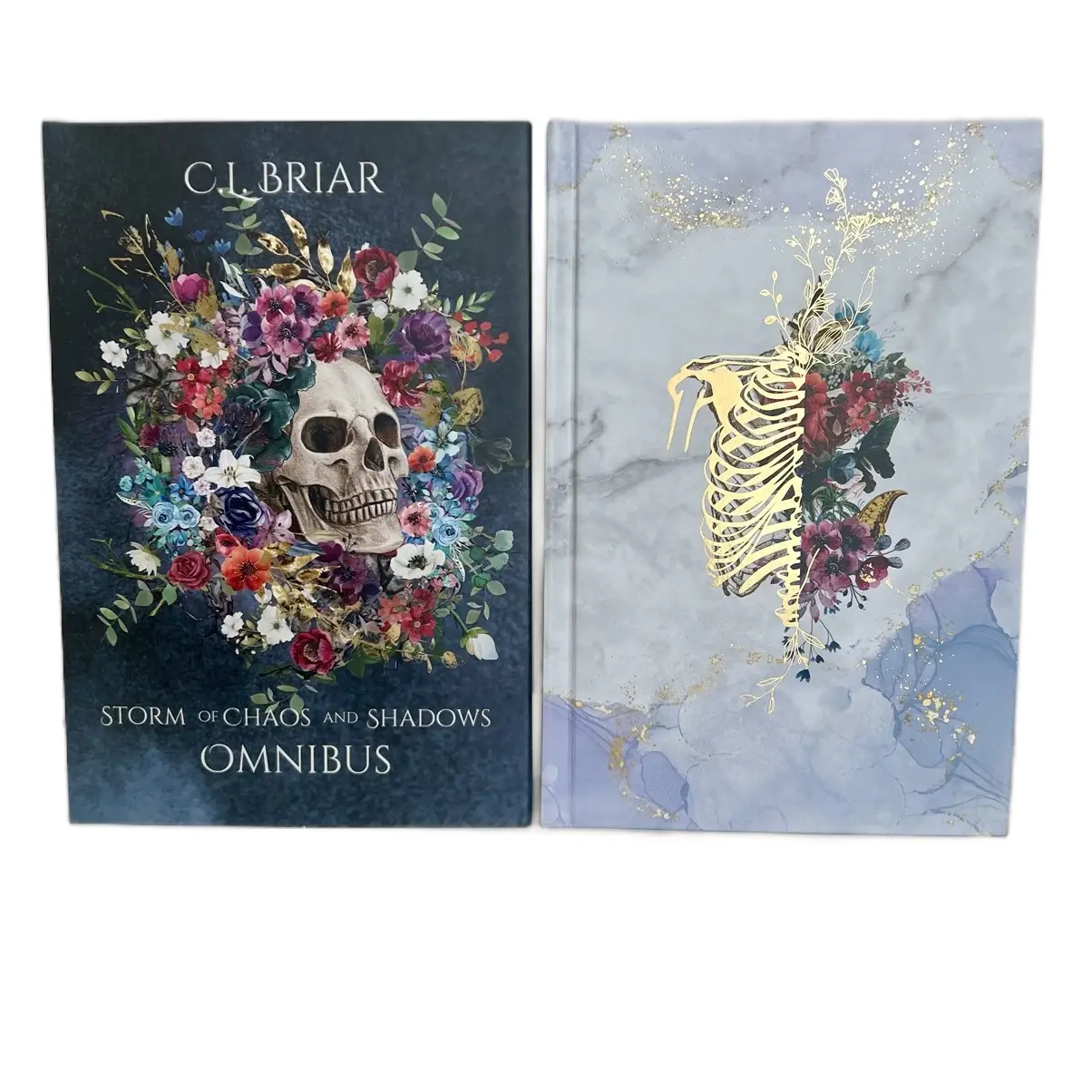 Omnibus four book dark fantasy series with slow burn spice