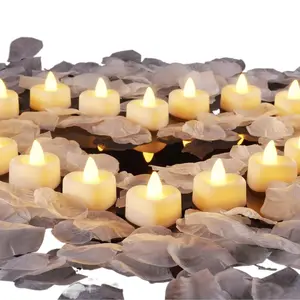 Homemory Rose Petals and Candles Set for Romantic Decorations Special Night, 2000 Pcs White Rose Petals with 24 Pcs LED Heart Candles Lights