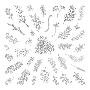 Clear Stamp - Flower Burst - 12x12