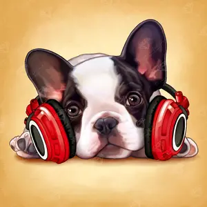 Headphone Frenchie Diamond Painting Kit