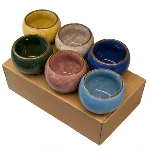 6Pcs Handmade Ice Crack Glaze Ceramic Tea Cups Set, Chinese Style Jianzhan Teacups for Gongfu Tea