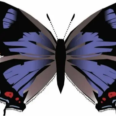 21 purple butterfly