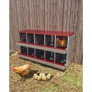 10 hole galvanized chicken nest box - rollable egg collection tray - rust proof, waterproof, ventilated - including Perch sticks - wall mounted hen laying box - efficient poultry coop and house accessories