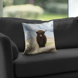 Begin Home Decor C1PT1414A1GZ1Q 14 x 14 in. Highland Cow Poly Twill Throw Pillow - Cozy Home Decor