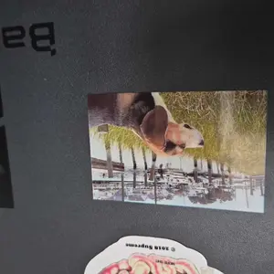review image 4
