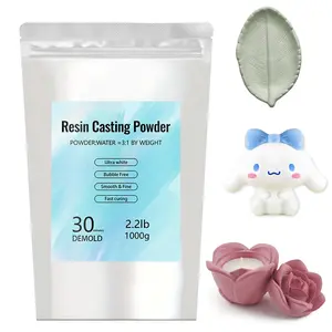 Resin Casting Powder 1kg Ceramic Resin Powder, Fast Curing, Easy Demolding, Water Mixed Non-Toxic Odorless Plaster Casting