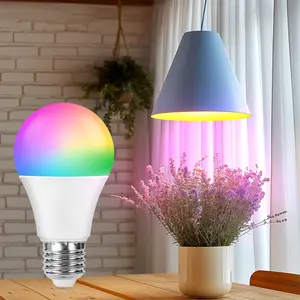DAYBETTER Christmas Home Decoration Family Bedroom Smart Light Bulb, WIFI Light  A19 Bulb with Smart Life App Control.