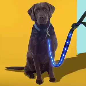 Light Up Flashing LED Leash - Illuminate Your Nighttime Walks
