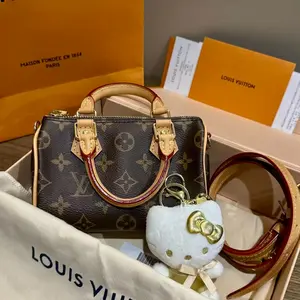 Pre-owned Louis Vuitton speed nano