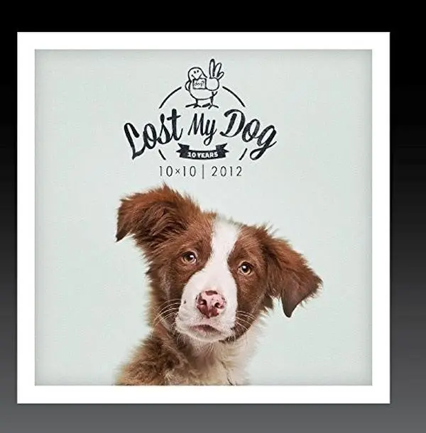 Various Artists - Lost My Dog 10x10 - 2012  [COMPACT DISC - CD]