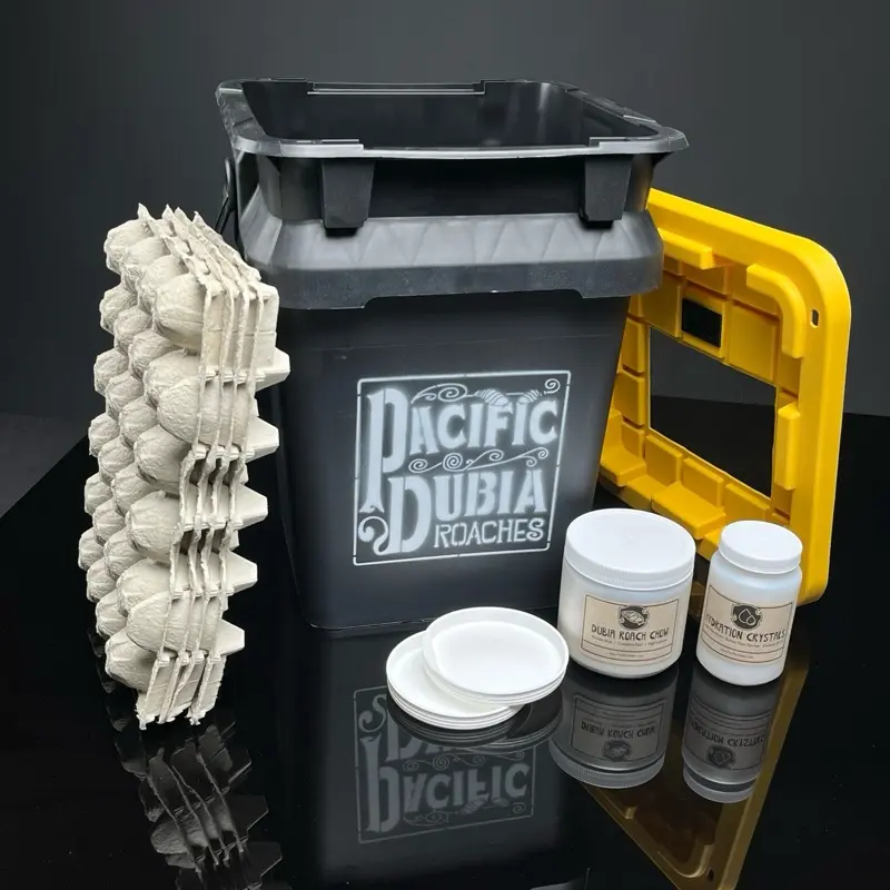 Dubia Roach Breeding Kit (JUST ADD DUBIA!) - TikTok Shop