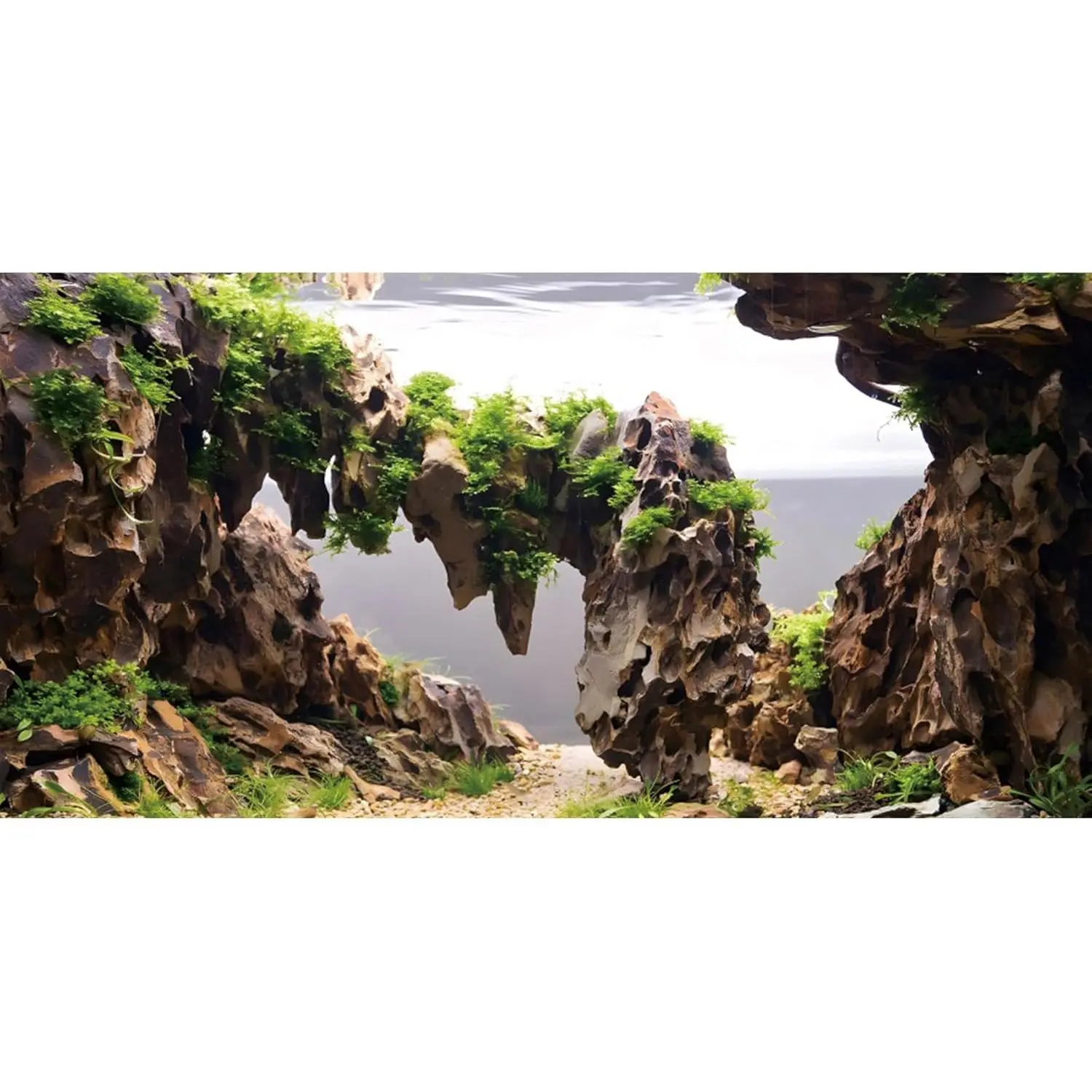 48x24 inches Viewing Stone Fish Tank Background Aquatic Plant River Bed & Lake Aquarium Background Seaweed Aquarium Vinyl Background