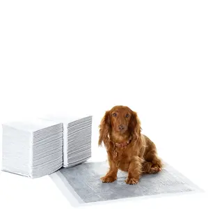 Dog and Puppy Pee Pads with 5-Layer Leak-Proof Design and Quick-Dry Surface for Potty Training, Odor-Control Carbon, Regular Size, 22 x 22 Inch - Pack of 80, Gray