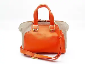 Pre-owned FENDI Leather & Canvas Crossbody Bags 2way Strapped Chameleon Gold Hardware Leather Hand