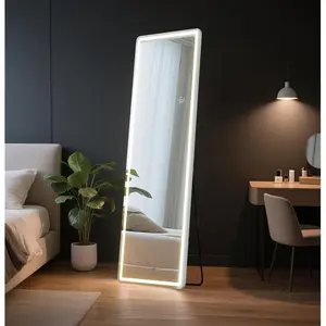 16"*60" Full Length Mirror with Light, LED Full Body Mirror with 3 Color Lighting