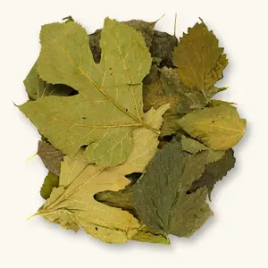 Dried Sri Lankan Mulberry Leaves by Betta Botanicals for Shrimp Tanks