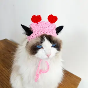 Crochet Peach Heart Cat Hat Crochet eggplant Hat Pattern for Cats and Dogs cat clothing cat accessories