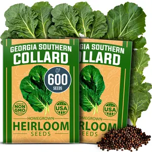 Collard Green Seeds Georgia Southern Bulk 2 Pack - 600 High Germination Non-GMO Heirloom Seeds, Collard Greens Seeds for Planting in Your Vegetable Garden (Brassica oleracea)