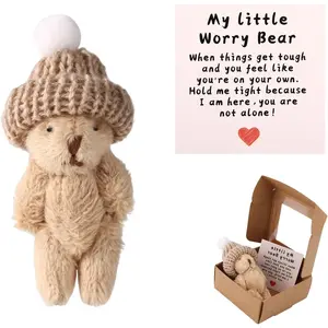 Mini Worry Bear in Box with Hat, Positive Mini Plush Bear with Encouragement Card Inspirational Stress Relief Toy for Family Friends Coworkers back to school  Gift