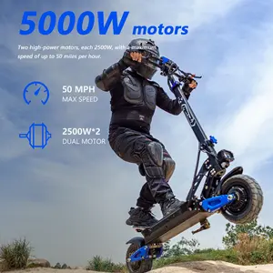 REDDYDY RD2 Electric Offroad Scooter 40-50 MPH Fastest Dual Motor Adult Scooter, 5000W Peak, 55-Mile Long Range, 10.5" Off-Road Tires, 60V 25Ah Battery