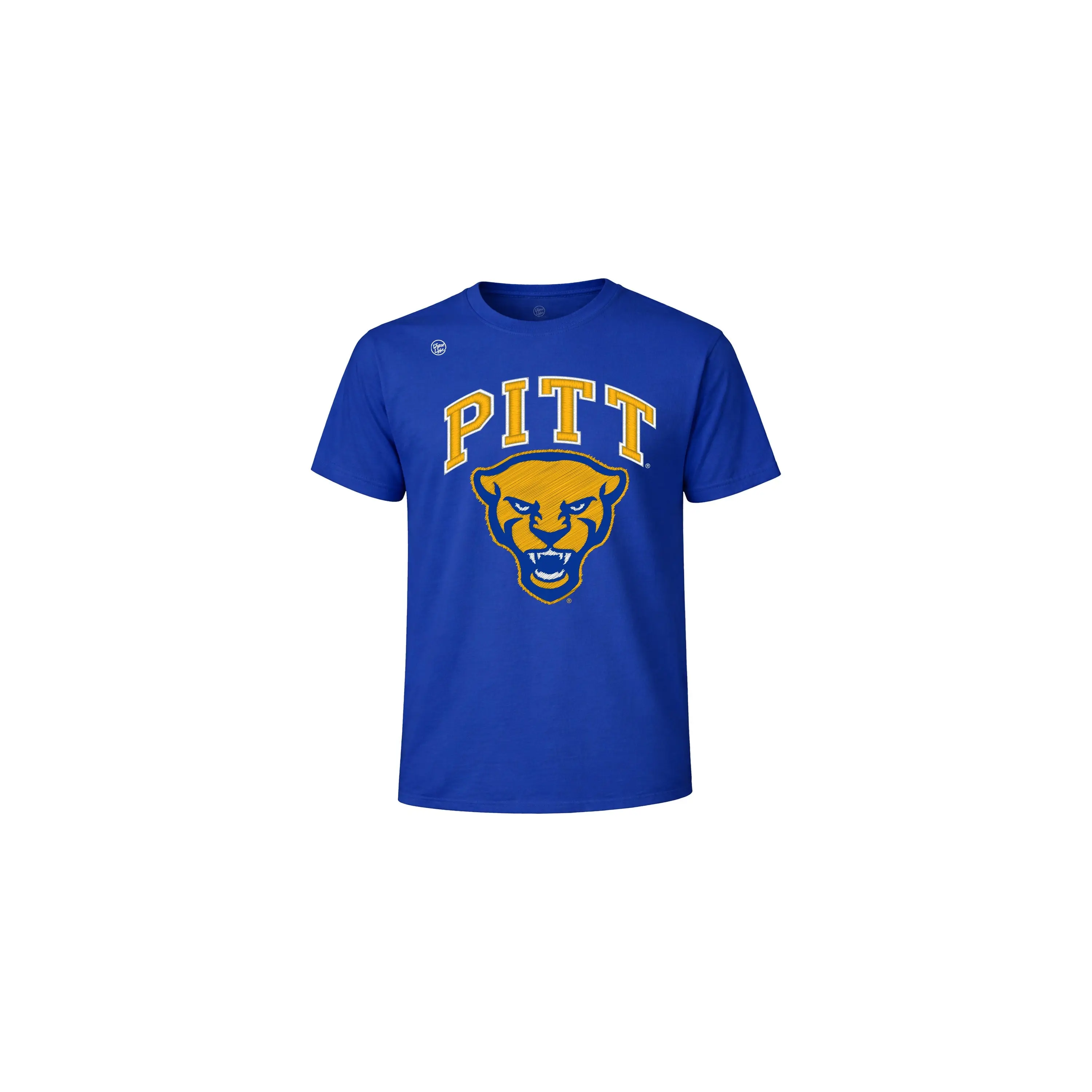 Pittsburgh Panthers Youth Vintage Arch Tee