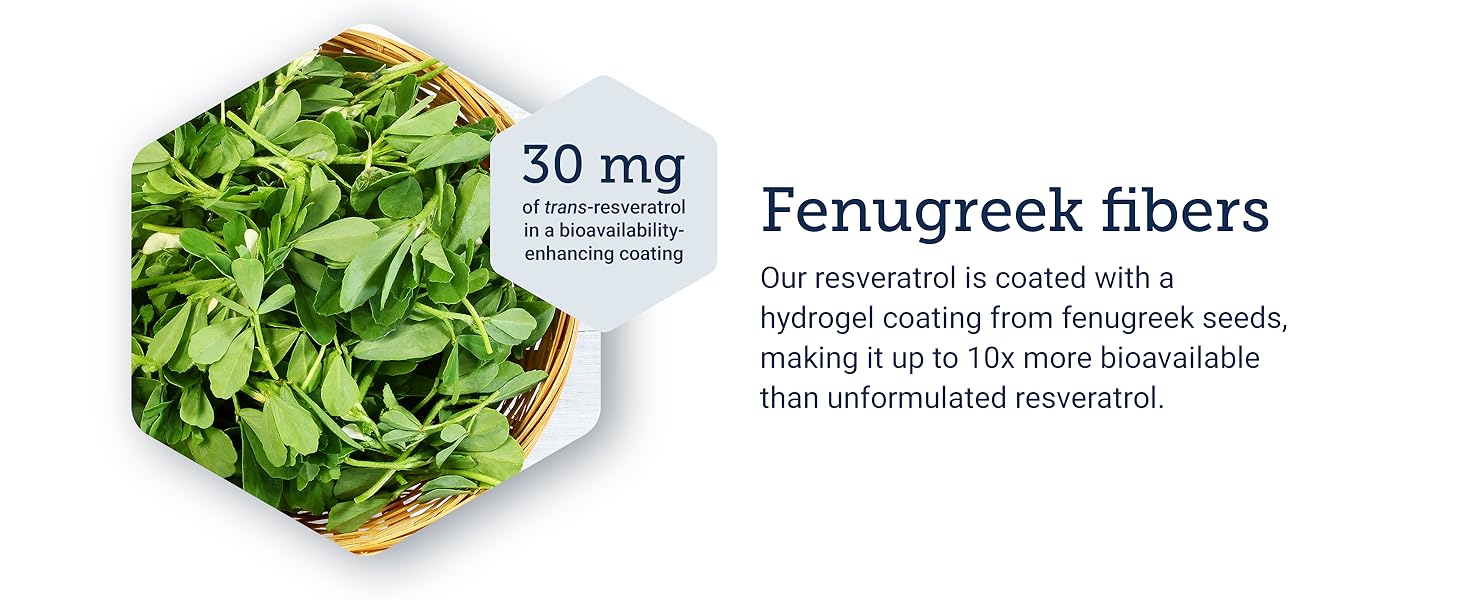 Life Extension NAD+ Cell Regenerator & Resveratrol Elite Anti Aging Bundle 30 Vegetarian Capsules for Cellular Energy & Skin Health Gluten Free Non GMO - Healthcare