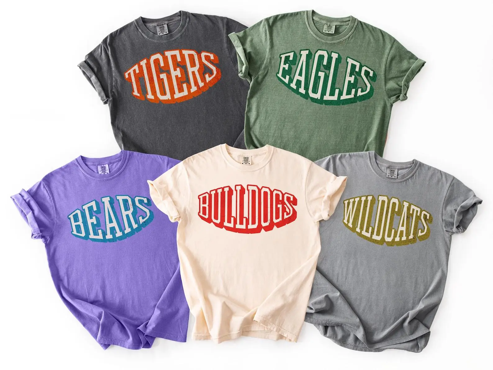 Comfort Colors Custom School Mascot Tshirt,Vintage School Logo Shirt,Team Mascot Name Tee,Custom Name Gifts For Back To School,Custom Sports