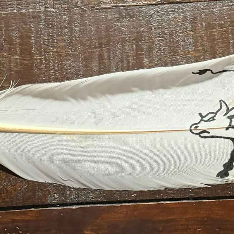 Casillas White Bullrider Custom Feather - Classic Design with Decorative Feather