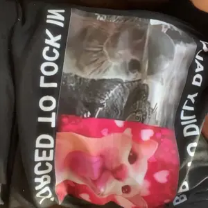 Born To Dilly Dally FUNNY MEME CUTE Cat T-Shirt