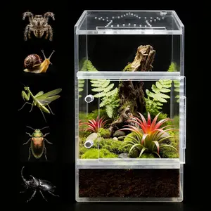 Jumping Spider Enclosure, Small Acrylic Spider Terrarium, Tarantula Spider Box, Magnetic Front & Top Opening, Bug Habitat for Jumping Spiders, Tarantulas, Praying Mantis, Snails