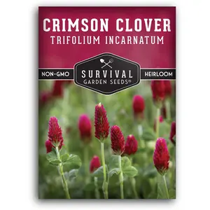 Crimson Clover Seed for Planting - High Quality Seeds
