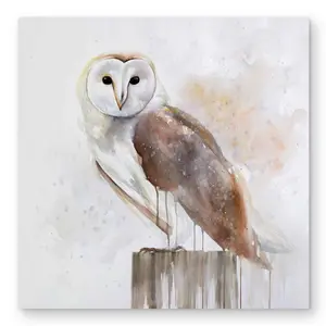 212 MAIN Aluminium Barn Owl Animal Design Metal Print Wall Art, 32x32in Vibrant Nature Artwork - Home Decoration for Living Room Spaces